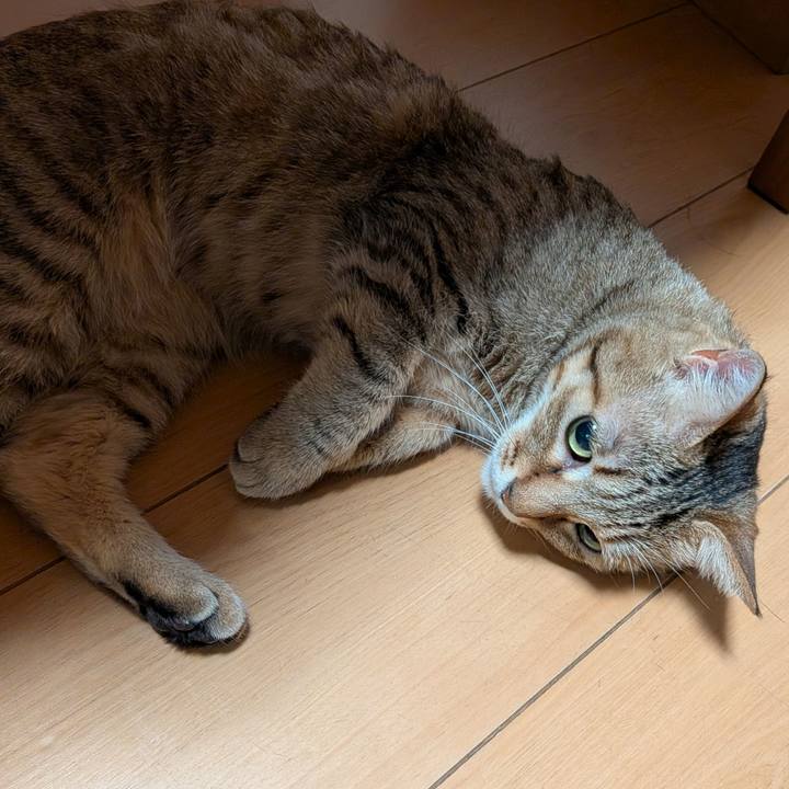 40702d74 014d 4dda a3d7 ffa8a0545a14 1768174435133