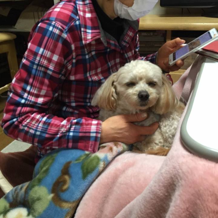 40705dc8 08cc 4712 b2fb bfd966671c5a 1520433741275