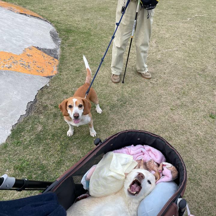 40706dad 1510 4379 a4cf 0650d5e2fad2 1679652177576