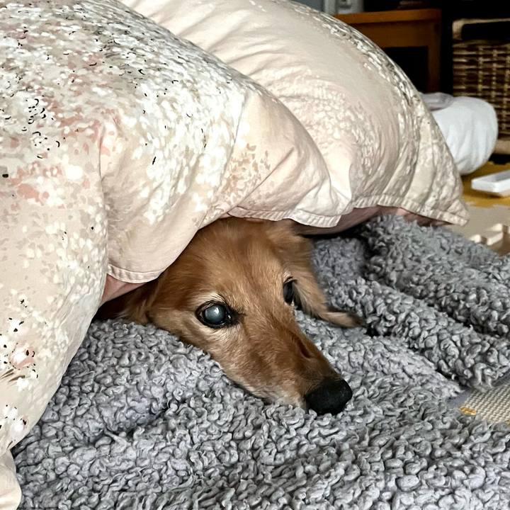 40709985 e41a 429e b536 728360e4b753 1673005760998