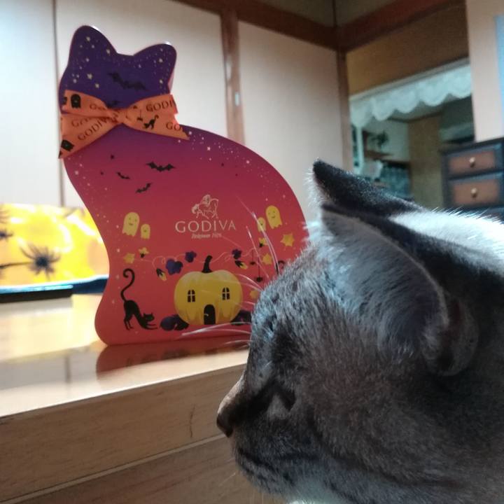 4070bc0d a6c5 407f 8a8d 22514e8eba07 1571653021433