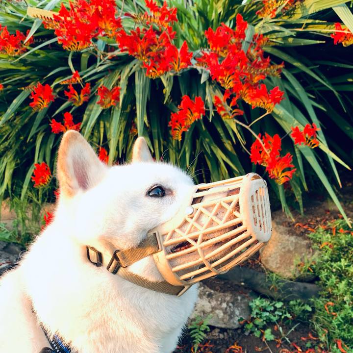 4070e177 99e1 461b 94f4 a0b4dc4c097a 1627762584011