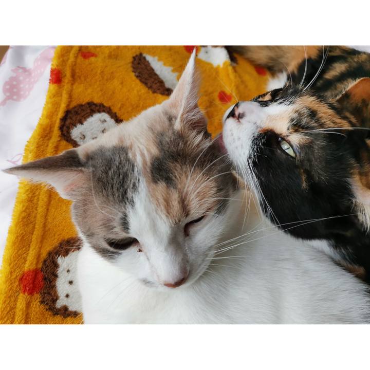 4070f44b ae4d 4128 aa15 556d5a599322 1668572543051