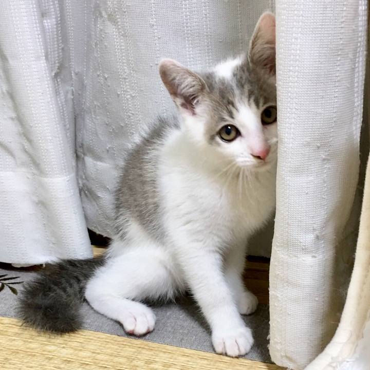 407103ac 45db 415b a789 9dc747964175 1529895075777