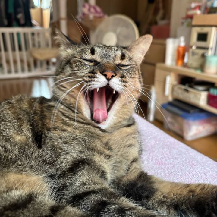 40714f29 5693 4219 a260 624defb9a3bf 1750424780240