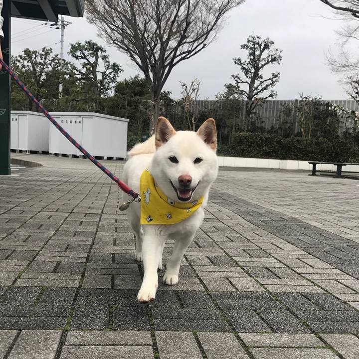 40717a6d d4f9 4360 a37f 033e7f8c97e2 1521690878318