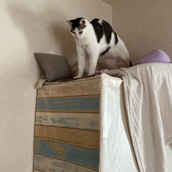 4071c40a fabf 4dfa 942e fb3fcc81fa0f 1766158359630