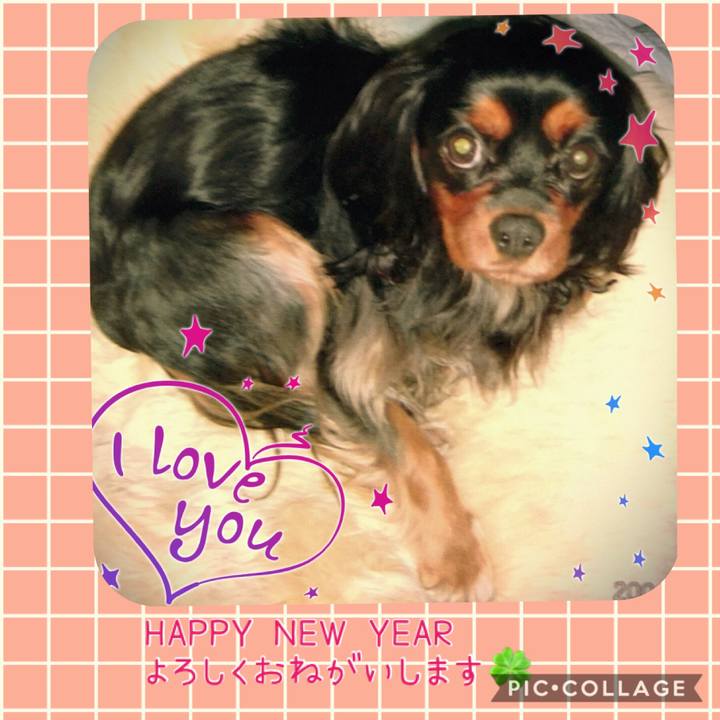 4071eb2b 4977 471c 9525 a9f1bf3e3ddd 1577804458434