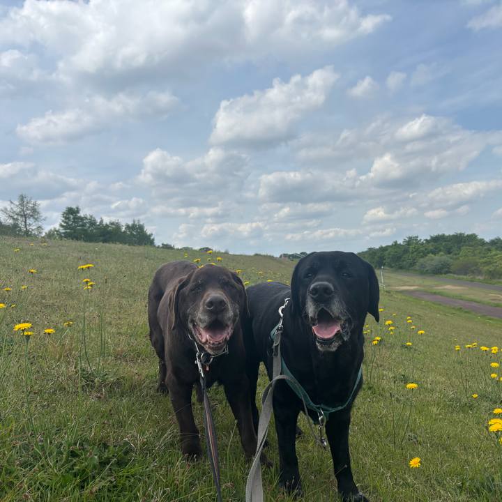 4071f2de c201 4fd5 b7e9 e032e3bc9f66 1777379848643