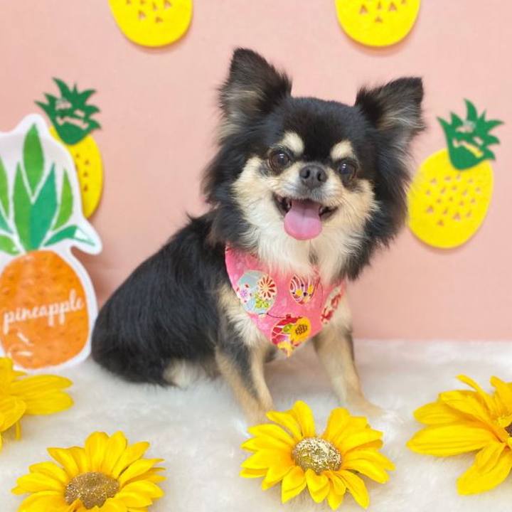 4072087e 3431 4840 b67d 3cf58a95a9e5 1626766947684