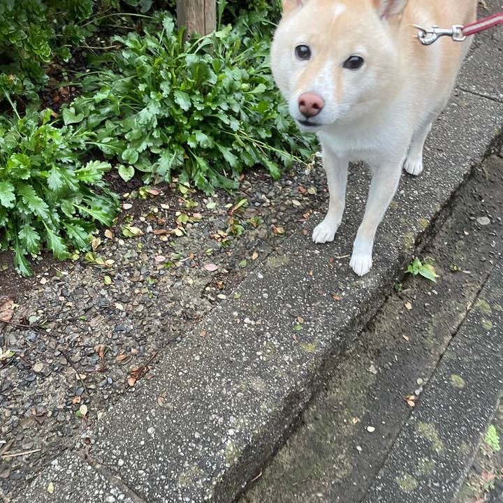 40722a45 0d5c 4074 9cf2 ff3d16d51d14 1666238998783