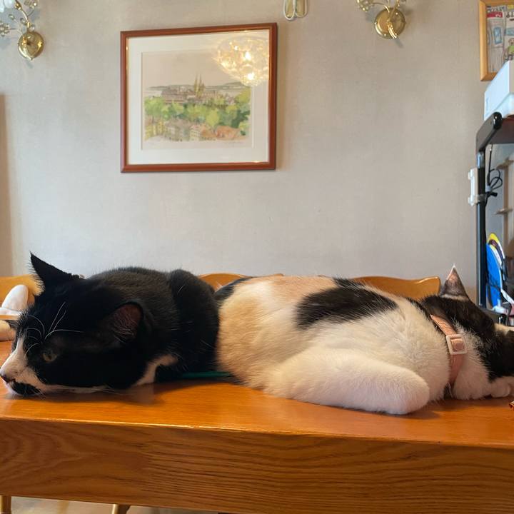 4072456b aad6 4f3d 8838 5191eab3ce71 1755571343668