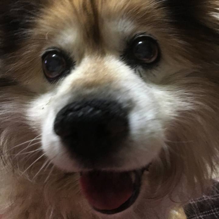 40726fc1 6722 4111 bf9f 96ec429b2f20 1595879730776