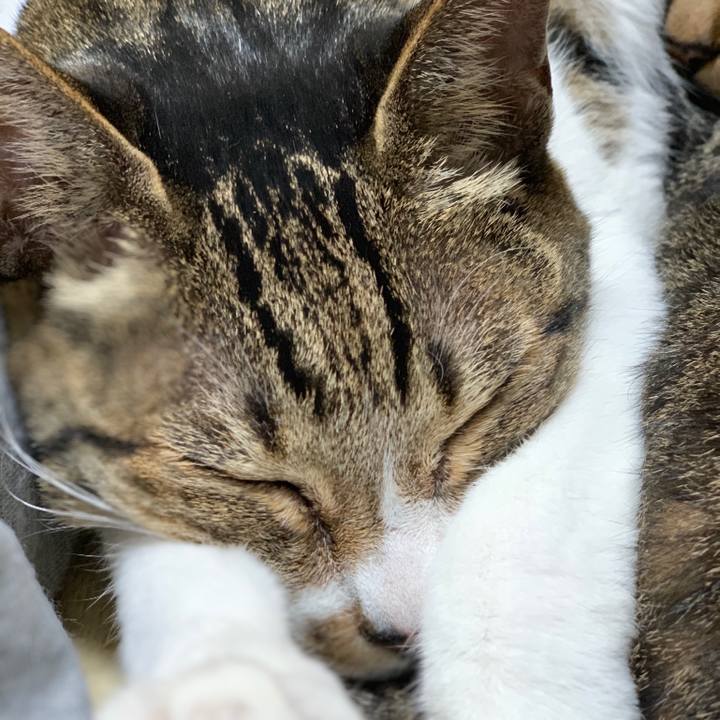 40727eff 1e8d 4361 92a3 3b9551d987c5 1541985982720