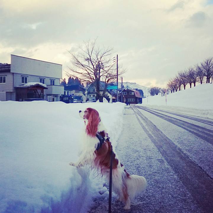 4072808c a8e4 4287 bffe ee0d3056a177 1515540248068