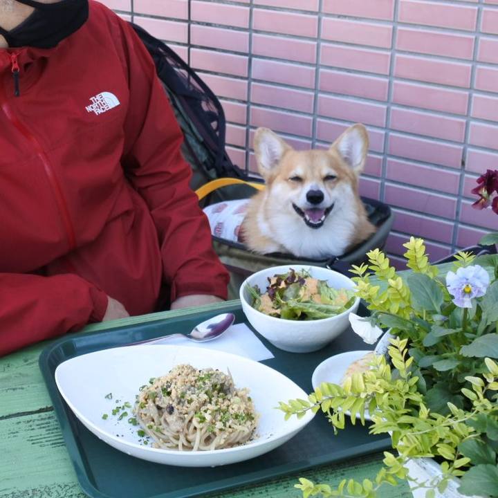 407289b3 fc2d 498f b783 0b56ac490a5f 1637148917178