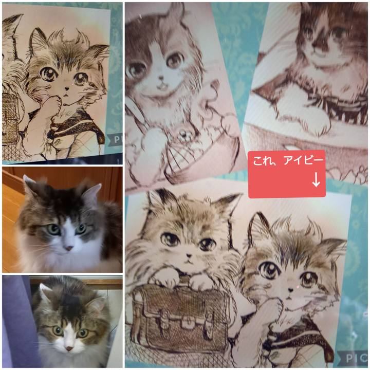 4072913d 2ede 446f 9ac6 dc2a49afd79e 1615178590371