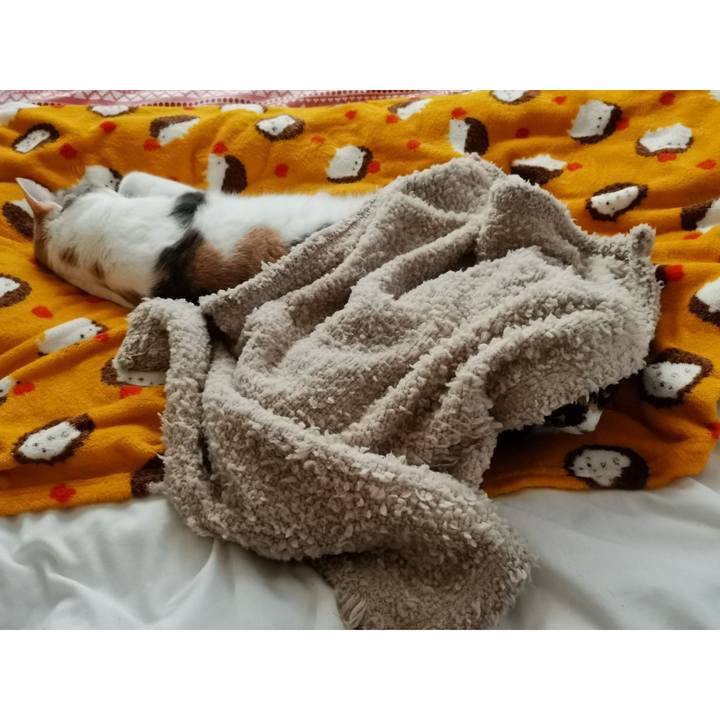 4072abec a027 4646 b2b0 4f64cc3ddede 1640060760764