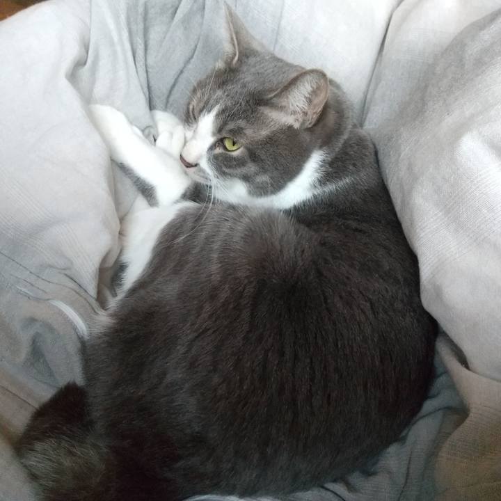 4072cb6e 2173 4207 8ad0 a9876aa2f97b 1646266921472