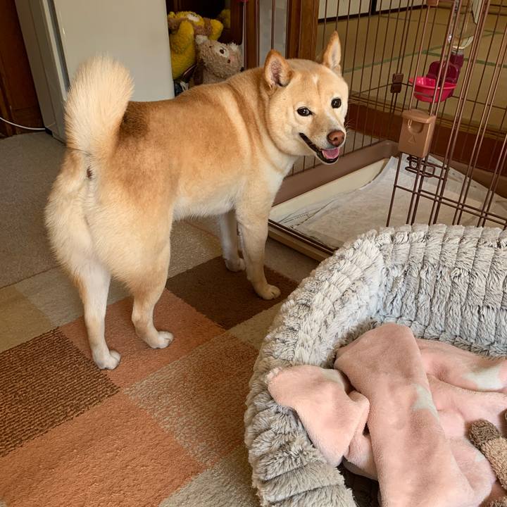 4072cd32 2fed 4d04 84a5 7ef318da4d6e 1646445547378