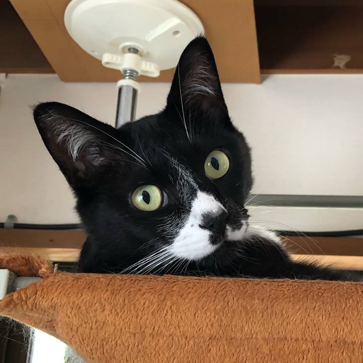 4072dccb 4534 42b9 8e21 ec1387daf75c 1628566134636