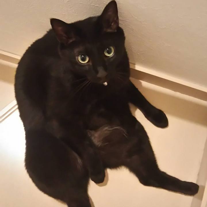 4072f106 e48f 49ed a605 cedfa1ffc5fa 1535553137062