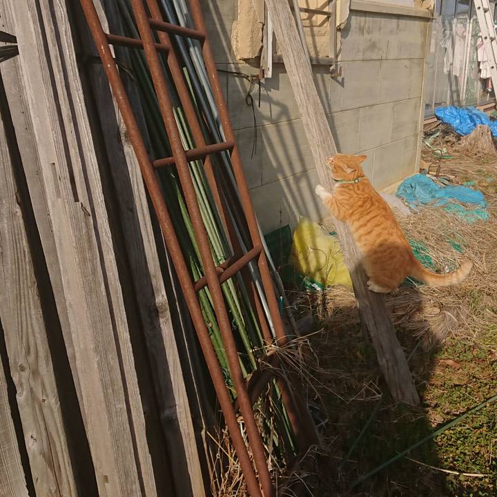 4072f969 54f2 465e 886f 64fe92c02c41 1583046480636