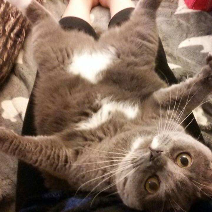 40730fb5 162c 4d8b 9a6c f485247f99ba 1581214068432