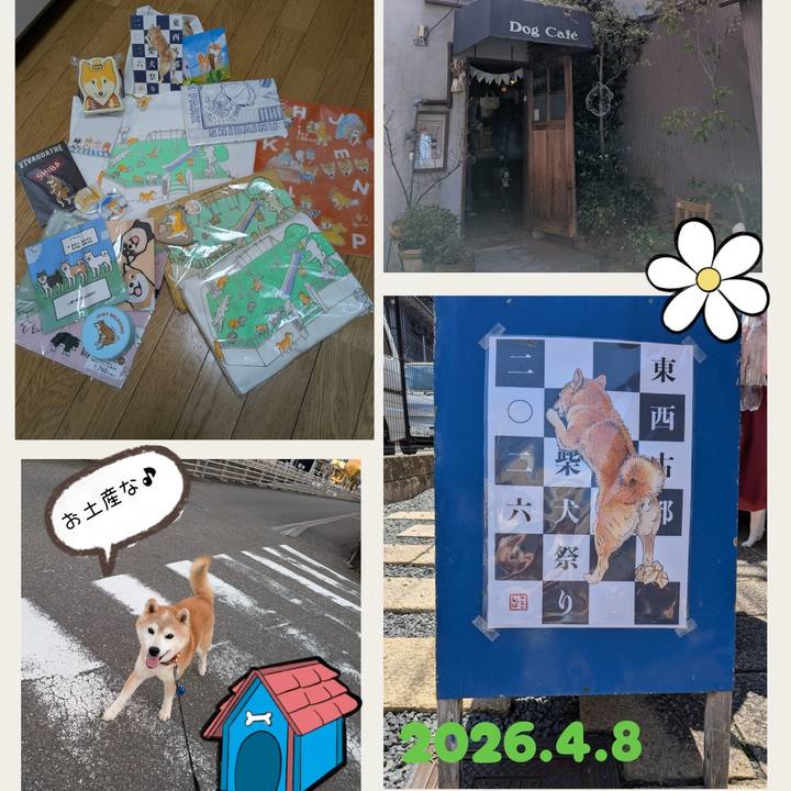 4073830a 15f6 4155 8e11 e6c86cad64a1 1776054259809