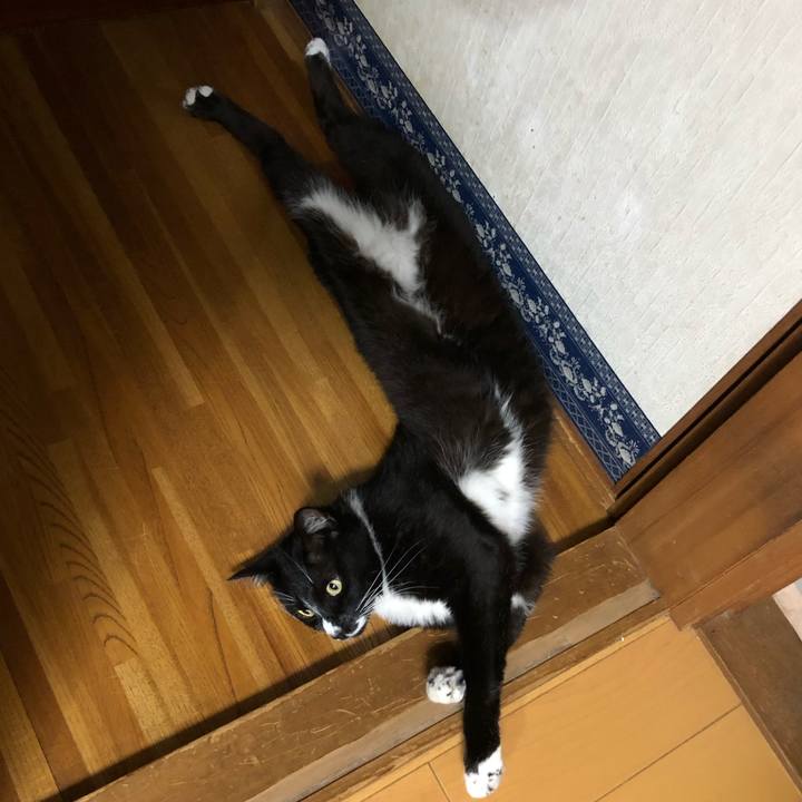 4073ae52 b1a7 409b a3b6 ad6cba109c62 1592968884605