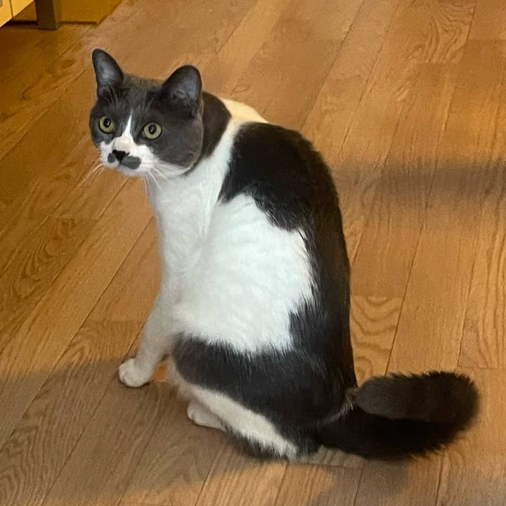 4073b3b6 145d 4657 9415 6d16c282c8df 1653362227329