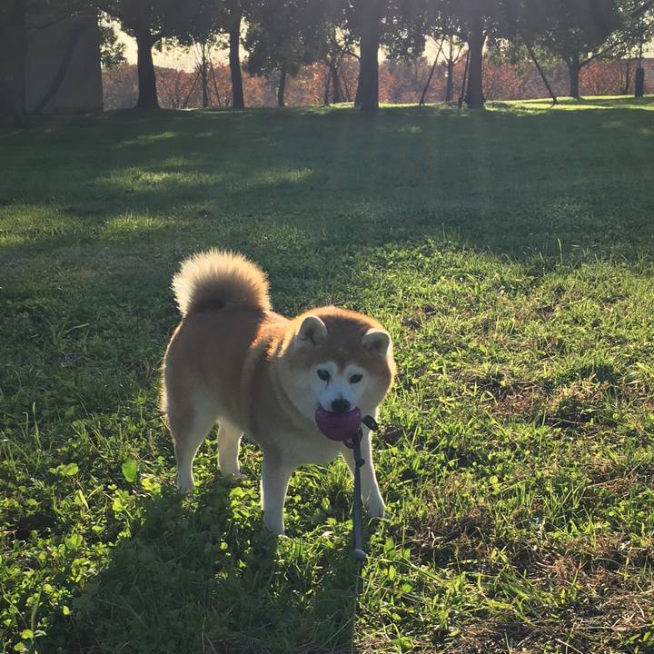 4073dcc2 e4b2 4158 89f6 eb727c1e7b3b 1575451850753