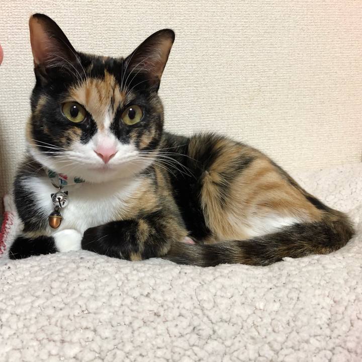 4073ff16 ae3d 4a95 8c5d 4f98a2391853 1583498374748