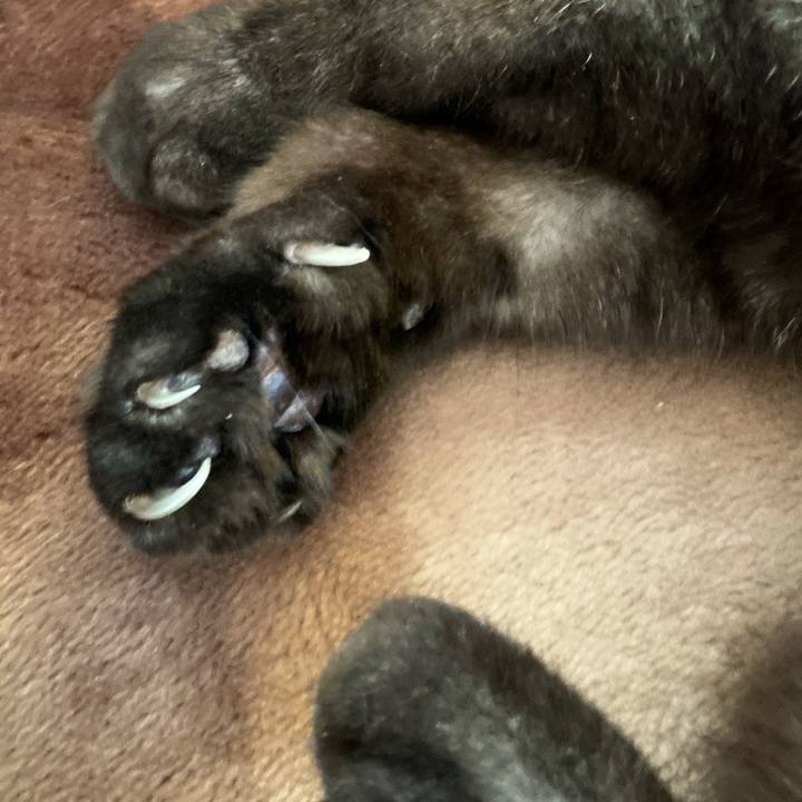 407407a1 2a9a 45af acb8 044b9b5fc2a6 1613963350138