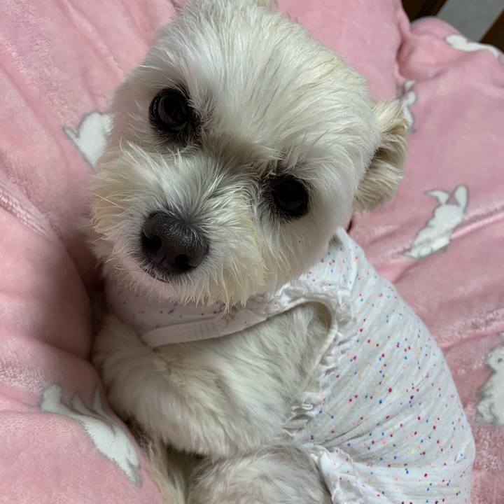 40749a71 426d 4dbc 9581 862042b6001b 1602939262459