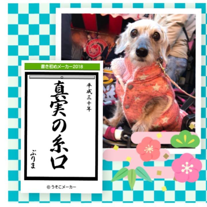 4074fb49 3aea 4e01 a49b 9ed19007e304 1515055437853