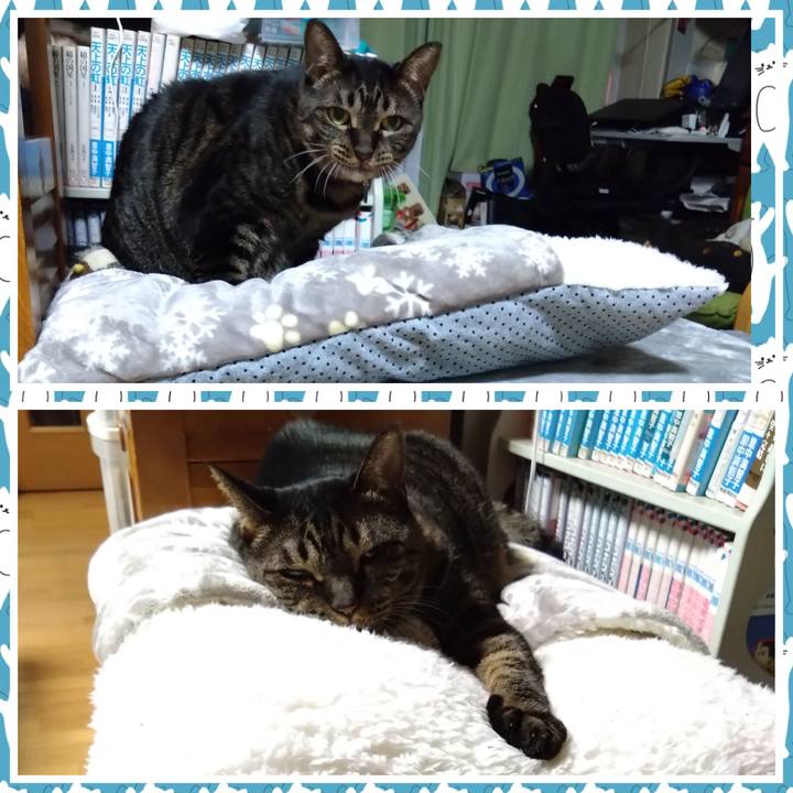 40750b94 1982 42c2 b6d0 163a525a4b6e 1762695667761