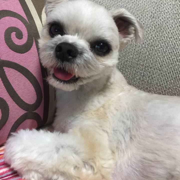 407538b0 df29 43bd ae43 82140bd7a27f 1528461053272