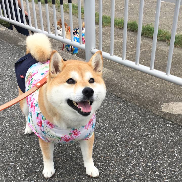 40755194 9d29 4ae1 9896 b85633240fdd 1563198027451