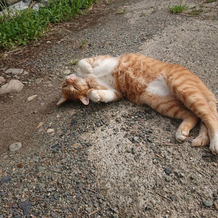 407586a8 6858 4491 8dcb 60188da7a75b 1599966320538