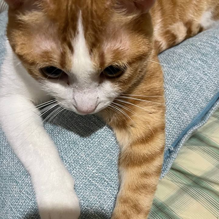 4075f4b5 bff3 4964 a25b 7e23e6de6d99 1692188373962