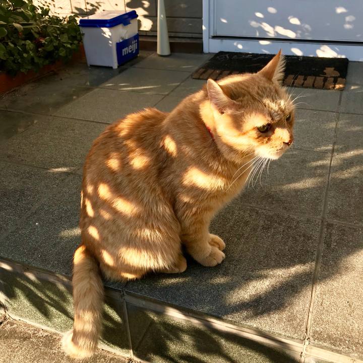 40761d79 c3c1 40db b124 20b5f8c7e560 1541419228070