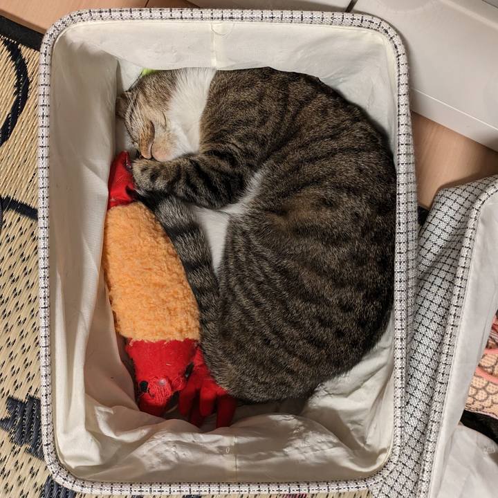 407627b0 f233 4ce3 a624 60f677e6ef56 1716464996837