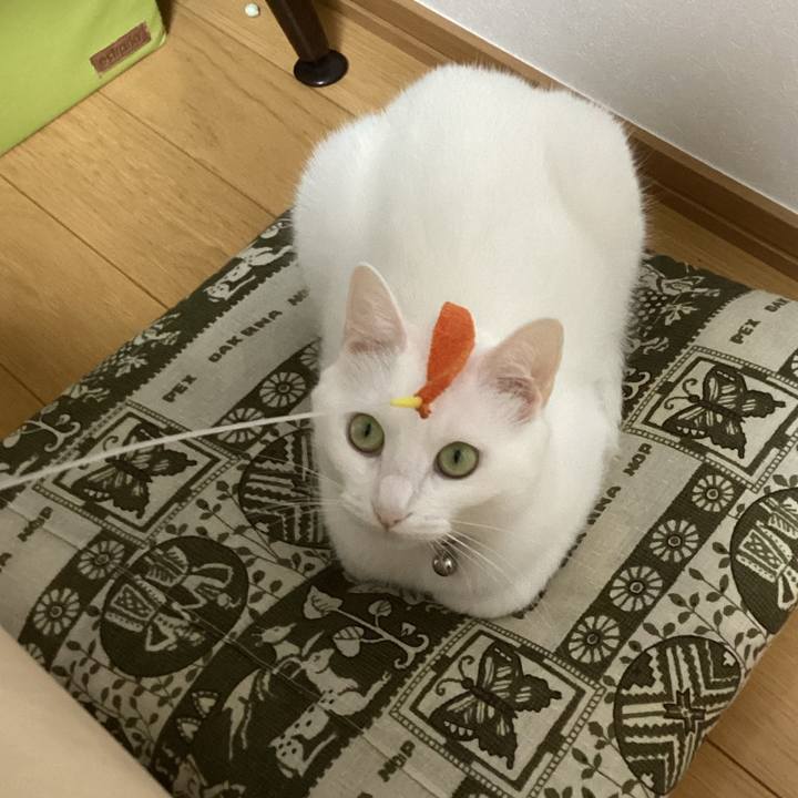 40767f8d 2d24 4a32 93a2 3a9f342b8492 1690190229629