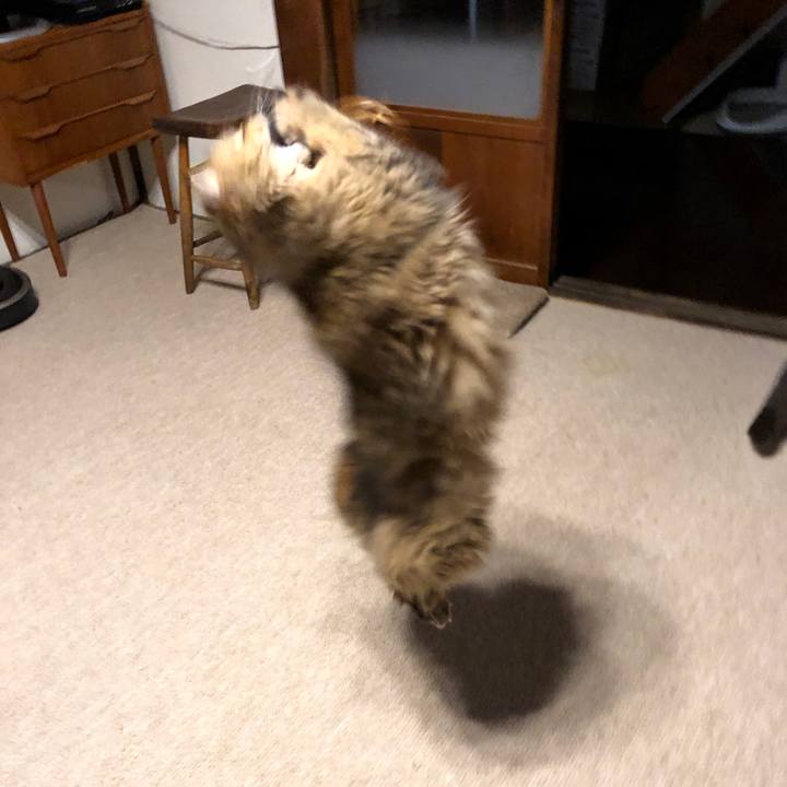 40768c5f 5c56 4efe a7d9 e4a8ed1b0273 1557406740561