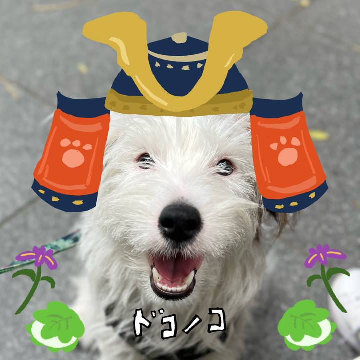 4076958a 08e6 4ca7 91c7 14be083c650f 1715431498556