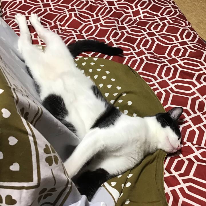 407695b4 4e65 4fdc 83a6 ac70a489a4f1 1635071307555