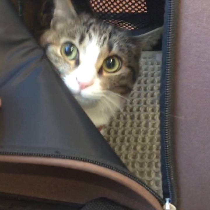 40769d89 943a 4e21 ba93 feaac296b5f9 1672963608886