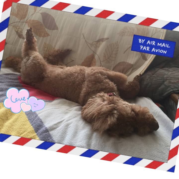 4076c115 a61d 4be1 ae83 123b63de219f 1533434294100