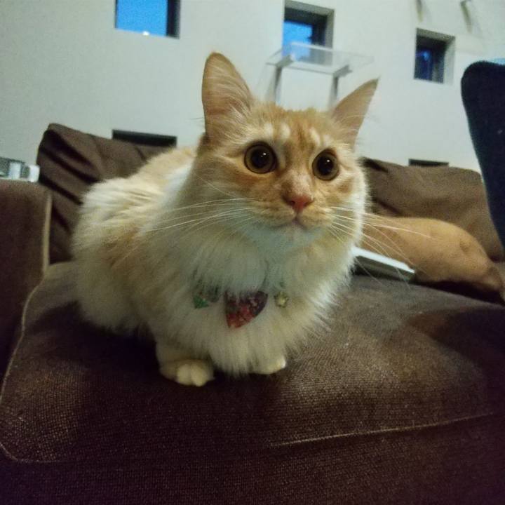 4077043b c6a2 4321 b654 e89080a6deba 1647554622367